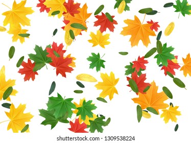 Background colorful Fall Foliage. Autumn leaves maple and other trees. Falling effect 