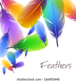 Background with colorful feathers