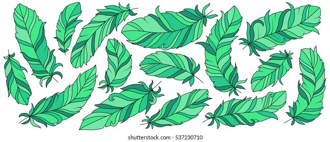 Background of colorful feathers