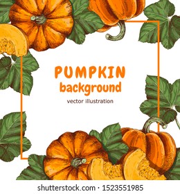 Background with colorful hand drawn pumpkins and leaf pumpkins. Free space for text. Vector illustration.