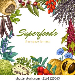 Background with colorful hand drawn superfood plants. Acerola, carob, goji, noni, flax, acai, lucuma, quinoa, camu camu, maca, chia and moringa. Free space for text.