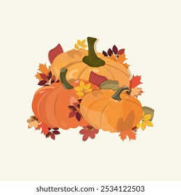 Background with  colorful pumpkins and leaves. Decorative image of autumn vegetable and plant.. Hand drawn flat style Isolated on light background.. Seasonal harvest  plant.