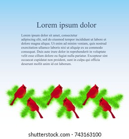 Background with colorful red cardinal on pine green branch bellow on white, Lorem ipsum stock vector illustration