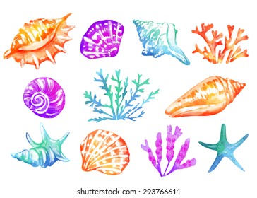 Background with colorful seashells. Watercolor texture. Vector sea elements.