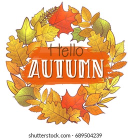 Background with colorful skeleton autumn leaves, hello autumn. Vector