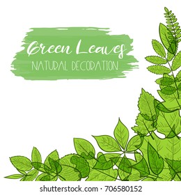 Background with colorful transparent skeleton green leaves, natural decoration. Vector