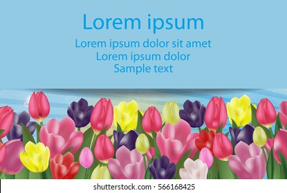 Background with colorful tulips with space for your text. Spring flowers. Vector Illustration.