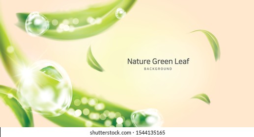 Background with the concept of air freshening in nature