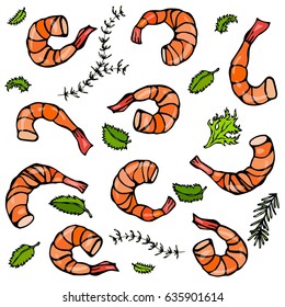 Background with Cooked Shrimps and herbs. Vector Seafood Prawn Illustration