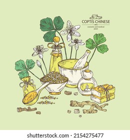 Background with coptis chinese: plant, leaves, root and coptis chinese flowers. Oil, soap and bath salt . Cosmetics and medical plant. Vector hand drawn illustration