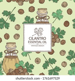 Background with coriander seeds and bottle of cilantro essential oil. Cosmetic, perfumery and medical plant. Vector hand drawn illustration.
