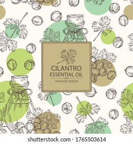 Background with coriander seeds and bottle of cilantro essential oil. Cosmetic, perfumery and medical plant. Vector hand drawn illustration.