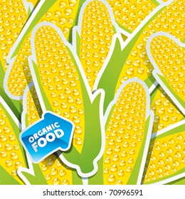 Background from corn cobs with an arrow by organic food. Vector illustration.