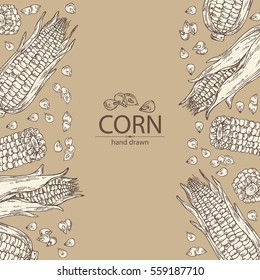 Background with corn . hand drawn.