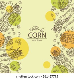 Background with corn . hand drawn.