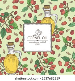 Background with cornel: plant and cornel berries and bottle of cornel oil. Vector hand drawn illustration