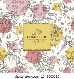 Background with cornel: plant and cornel berries and bottle of cornel oil. Vector hand drawn illustration