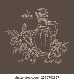 Background with cornel: plant and cornel berries and bottle of cornel oil. Vector hand drawn illustration