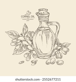 Background with cornel: plant and cornel berries and bottle of cornel oil. Vector hand drawn illustration