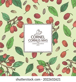 Background with cornel: plant, leaves and cornel berries. Cornus mas. Cosmetic and medical plant. Vector hand drawn illustration