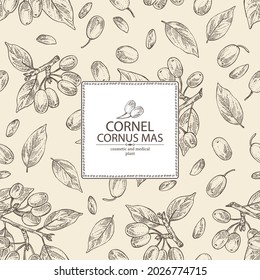 Background with cornel: plant, leaves and cornel berries. Cornus mas. Cosmetic and medical plant. Vector hand drawn illustration