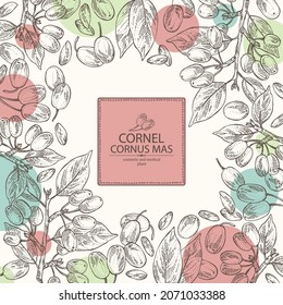 Background with cornel: plant, leaves and cornel berries. Cornus mas. Cosmetic and medical plant. Vector hand drawn illustration