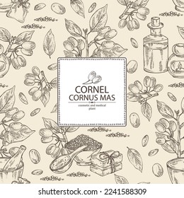 Background with cornel: plant, leaves and cornel berries. Cornus mas. Oil, soap and bath salt . Cosmetics and medical plant. Vector hand drawn illustration