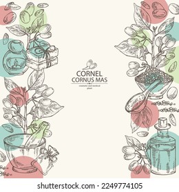 Background with cornel: plant, leaves and cornel berries. Cornus mas. Oil, soap and bath salt . Cosmetics and medical plant. Vector hand drawn illustration