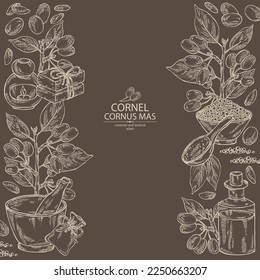 Background with cornel: plant, leaves and cornel berries. Cornus mas. Oil, soap and bath salt . Cosmetics and medical plant. Vector hand drawn illustration