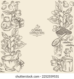 Background with cornel: plant, leaves and cornel berries. Cornus mas. Oil, soap and bath salt . Cosmetics and medical plant. Vector hand drawn illustration