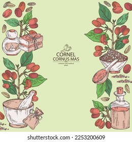 Background with cornel: plant, leaves and cornel berries. Cornus mas. Oil, soap and bath salt . Cosmetics and medical plant. Vector hand drawn illustration