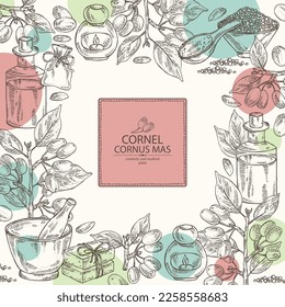 Background with cornel: plant, leaves and cornel berries. Cornus mas. Oil, soap and bath salt . Cosmetics and medical plant. Vector hand drawn illustration