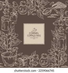 Background with cornel: plant, leaves and cornel berries. Cornus mas. Oil, soap and bath salt . Cosmetics and medical plant. Vector hand drawn illustration