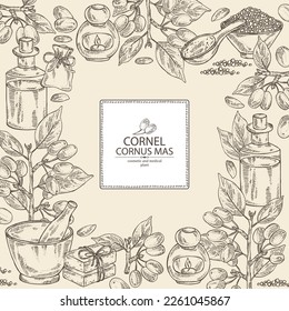 Background with cornel: plant, leaves and cornel berries. Cornus mas. Oil, soap and bath salt . Cosmetics and medical plant. Vector hand drawn illustration