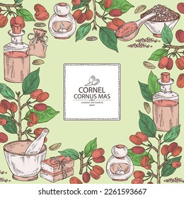 Background with cornel: plant, leaves and cornel berries. Cornus mas. Oil, soap and bath salt . Cosmetics and medical plant. Vector hand drawn illustration