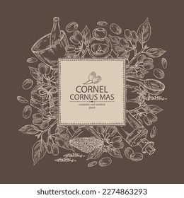 Background with cornel: plant, leaves and cornel berries. Cornus mas. Oil, soap and bath salt . Cosmetics and medical plant. Vector hand drawn illustration