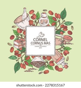 Background with cornel: plant, leaves and cornel berries. Cornus mas. Oil, soap and bath salt . Cosmetics and medical plant. Vector hand drawn illustration