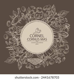 Background with cornel: plant, leaves and cornel berries. Cornus mas. Oil, soap and bath salt . Cosmetics and medical plant. Vector hand drawn illustration