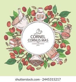 Background with cornel: plant, leaves and cornel berries. Cornus mas. Oil, soap and bath salt . Cosmetics and medical plant. Vector hand drawn illustration