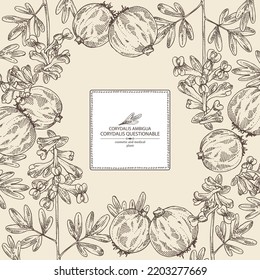Antecedentes con corydalis ambigua: planta cuestionable de corydalis, raíz de corydalis ambigua y flores. Corydalis ambigua. Cosmética, perfumería y planta médica. Dibujo manual del vector