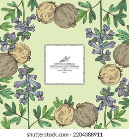 Antecedentes con corydalis ambigua: planta cuestionable de corydalis, raíz de corydalis ambigua y flores. Corydalis ambigua. Cosmética, perfumería y planta médica. Dibujo manual del vector