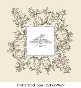 Background with corydalis ambigua: corydalis questionable plant, corydalis ambigua root and flowers. Corydalis ambigua. Cosmetic, perfumery and medical plant. Vector hand drawn