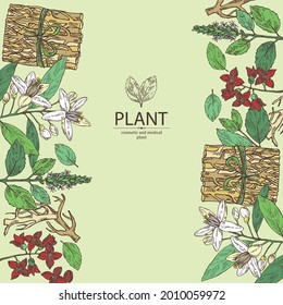 Background with cosmetic and medical plant: neroli flowers, sandalwood, patchouli, vetiver root. Cosmetic and medical plant. Vector hand drawn