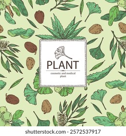 Background with cosmetic and medical plants: aloe vera, ginkgo biloba, tea tree, shea nut. Vector hand drawn illustration