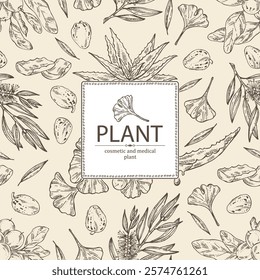 Background with cosmetic and medical plants: aloe vera, ginkgo biloba, tea tree, shea nut. Vector hand drawn illustration