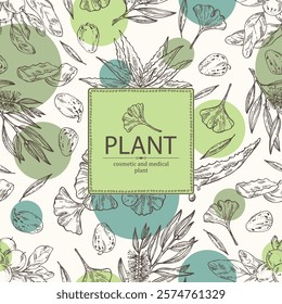 Background with cosmetic and medical plants: aloe vera, ginkgo biloba, tea tree, shea nut. Vector hand drawn illustration