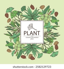 Background with cosmetic and medical plants: aloe vera, ginkgo biloba, tea tree, shea nut. Vector hand drawn illustration