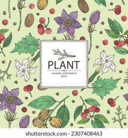 Background with  cosmetic and medical plants: datura stramonium, pulsatilla chinensis, croton tiglium, ardisia japonica. Vector hand drawn illustration