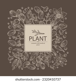 Background with cosmetic and medical plants: datura stramonium, pulsatilla chinensis, croton tiglium, ardisia japonica. Vector hand drawn illustration