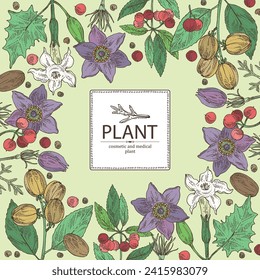 Background with  cosmetic and medical plants: datura stramonium, pulsatilla chinensis, croton tiglium, ardisia japonica. Vector hand drawn illustration